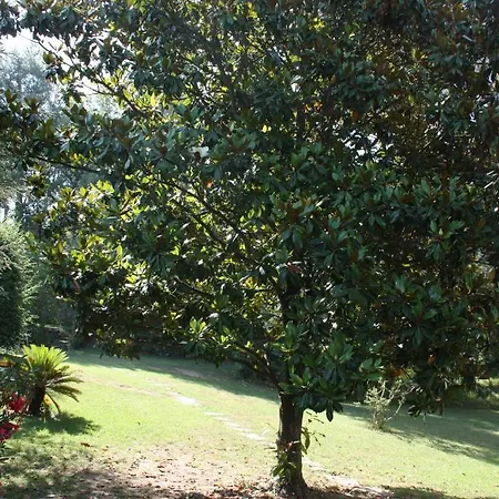 Bed & Breakfast Manon Mouans-Sartoux