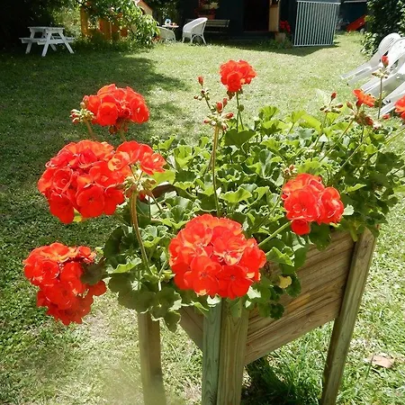 Manon Bed & Breakfast Mouans-Sartoux